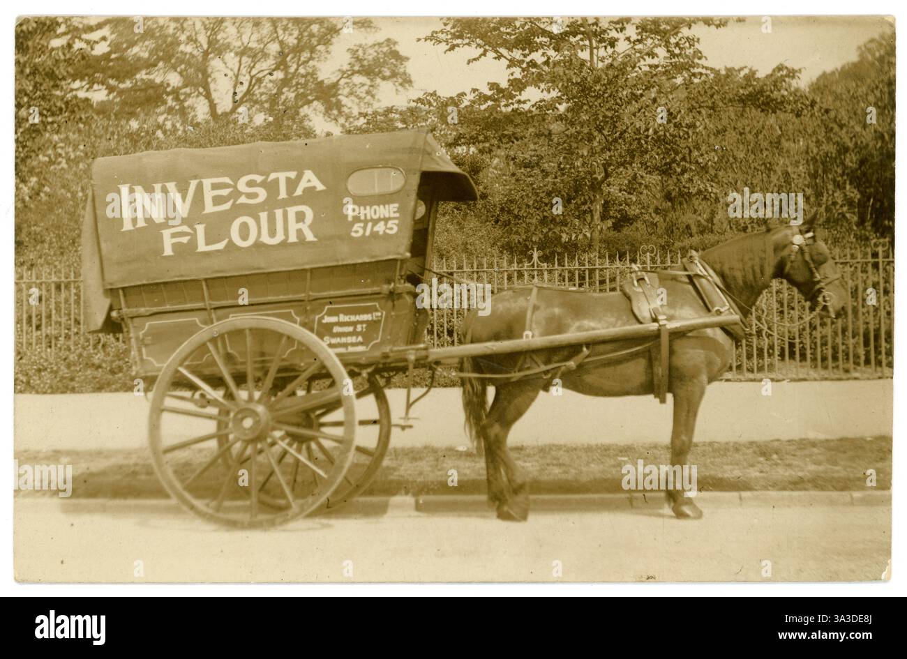 Photo postcard of horse drawn delivery wagon Graham & Co. c. 1908 Photo postcard of horse drawn delivery wagon Graham & Co. c. 1908