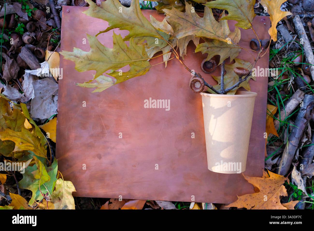 Biodegradable paper cup on the copper plate. Environmentally friendly ...