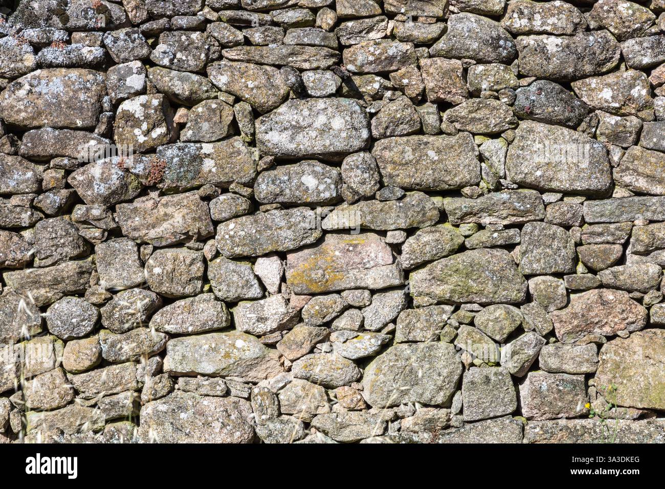 Detail of a granite wall with moss, large and small gray stones stacked on top of each other part of an old historic house Stock Photo