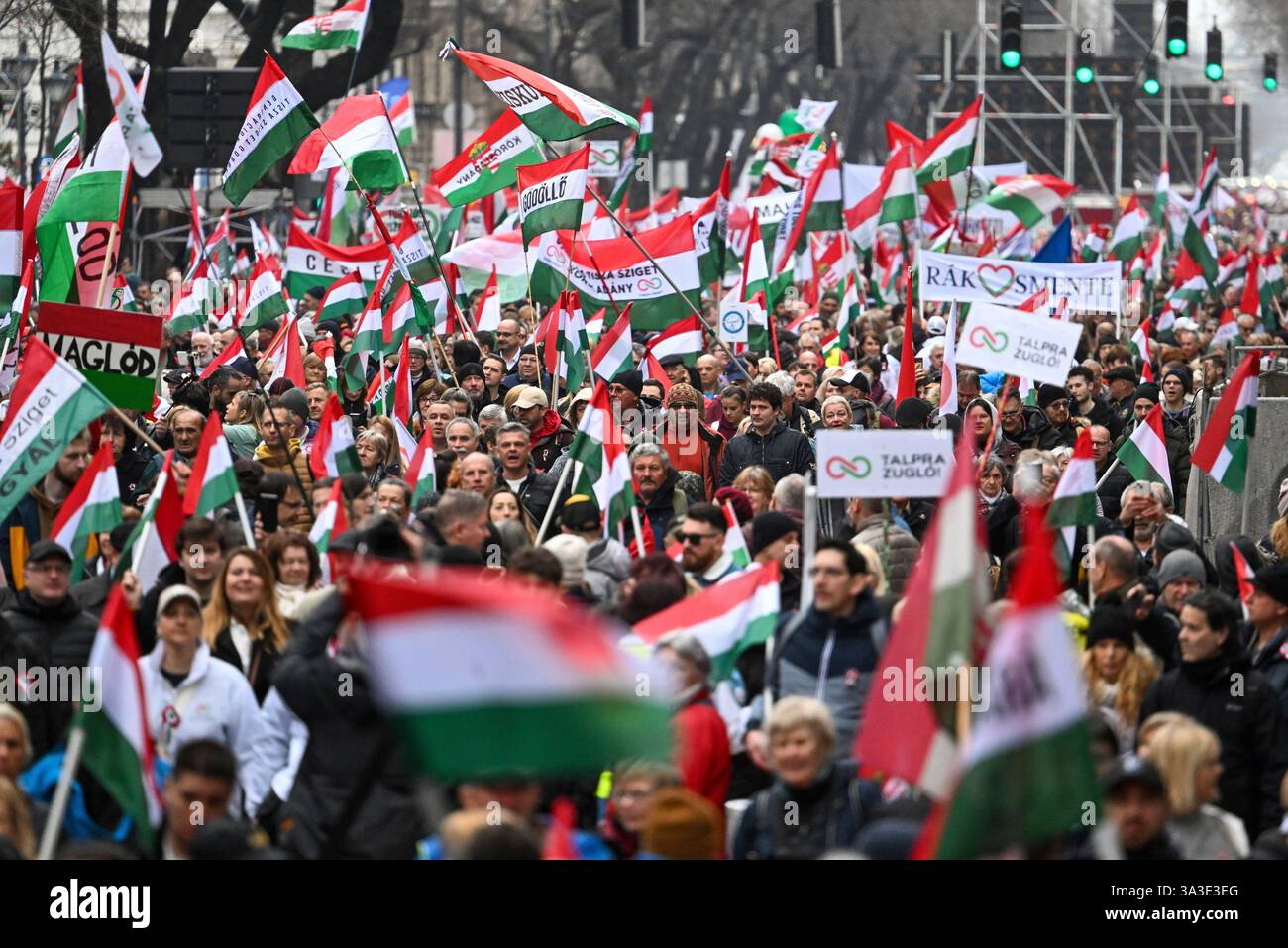 Participants attend the celebration organised by the Hungarian opposition Tisza Party to
