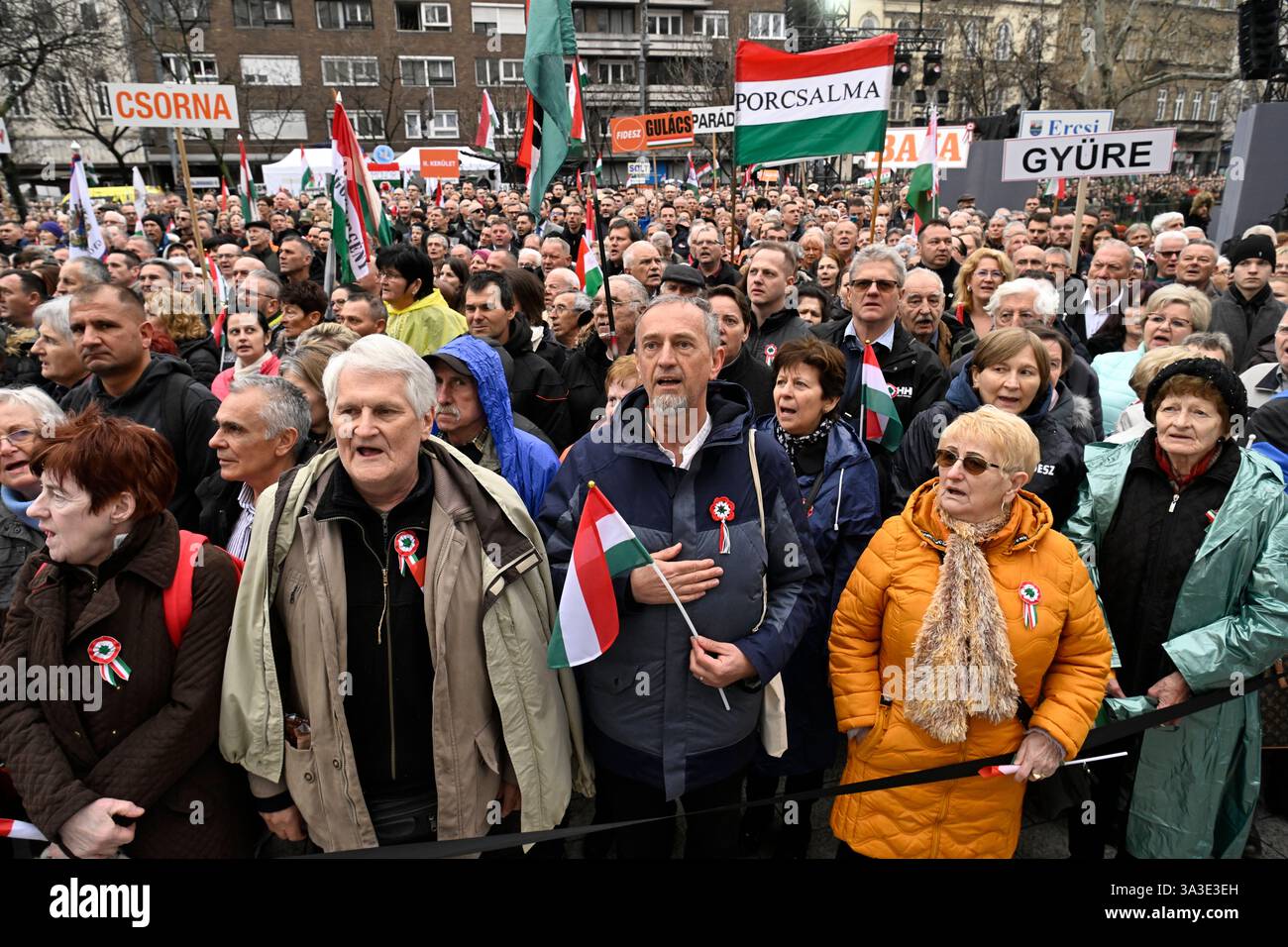 People gather at the Hungarian National Museum during the official state ceremony to mark