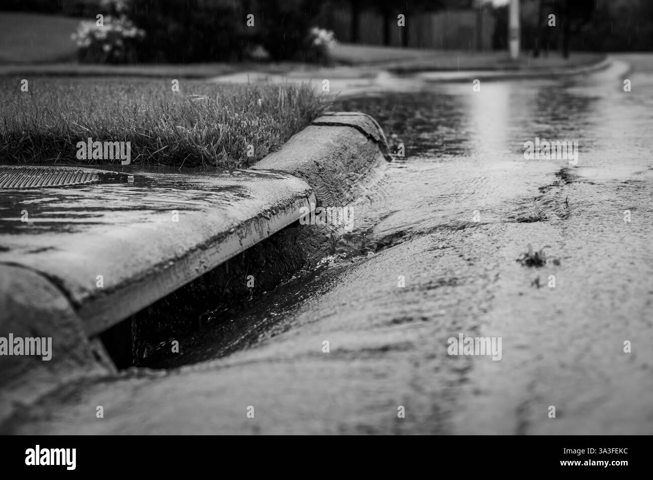 Stormwater flowing into street intake drain after a rainstorm Stock ...