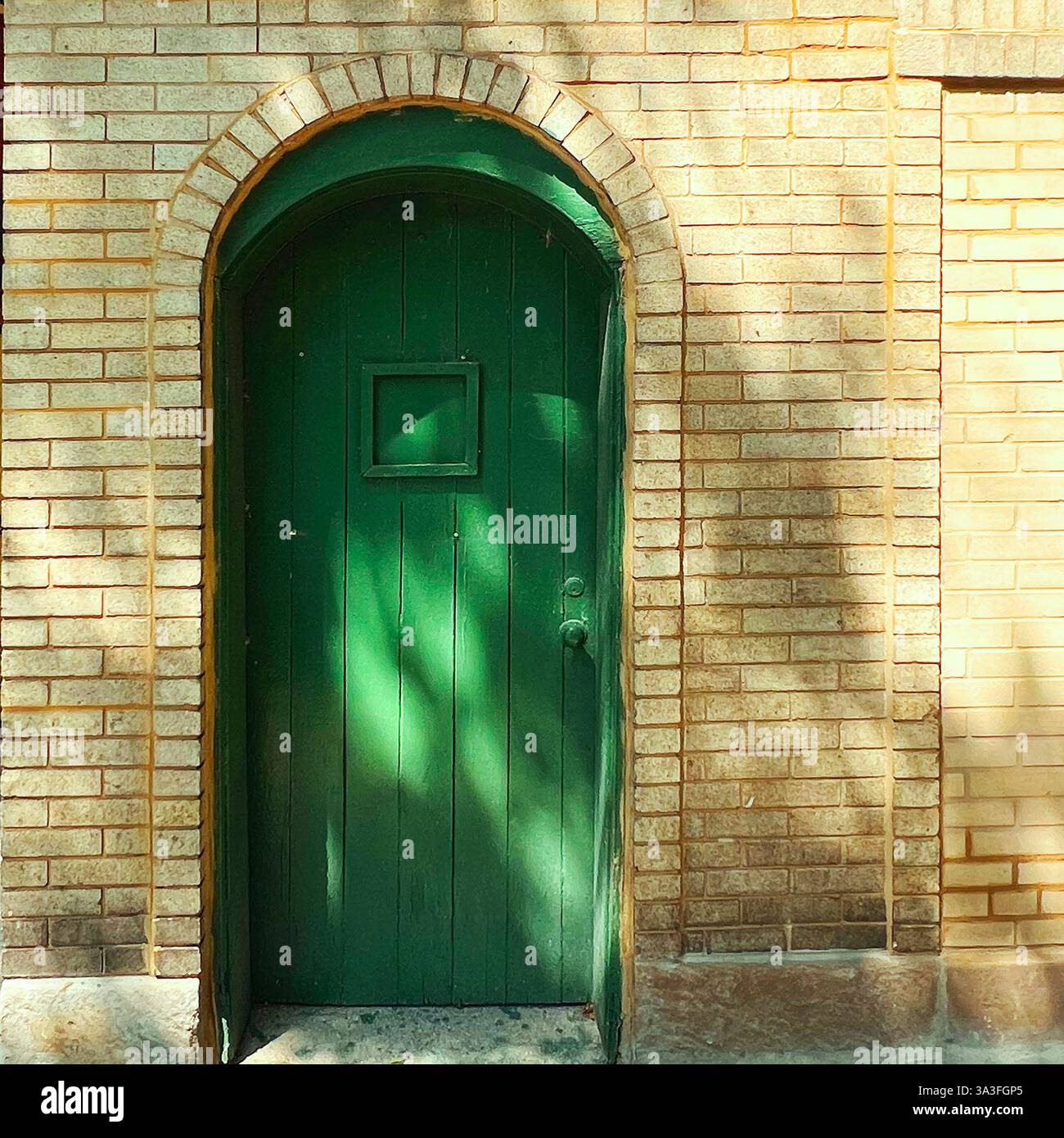 Rustic green wooden arched door set within a yellow brick facade, with dappled sunlight casting shadows in Chicago. - Smartphone Captured Stock Image