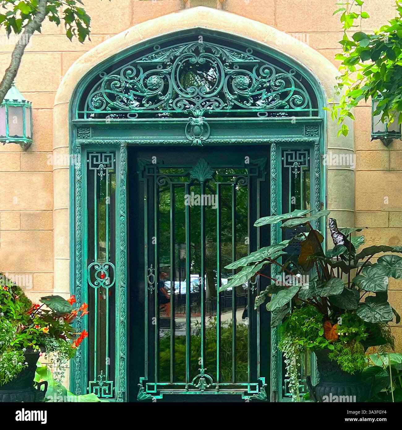 An ornate green wrought iron door with intricate detailing, set within a grand archway surrounded by lush greenery in Chicago. - Smartphone Captured Stock Image
