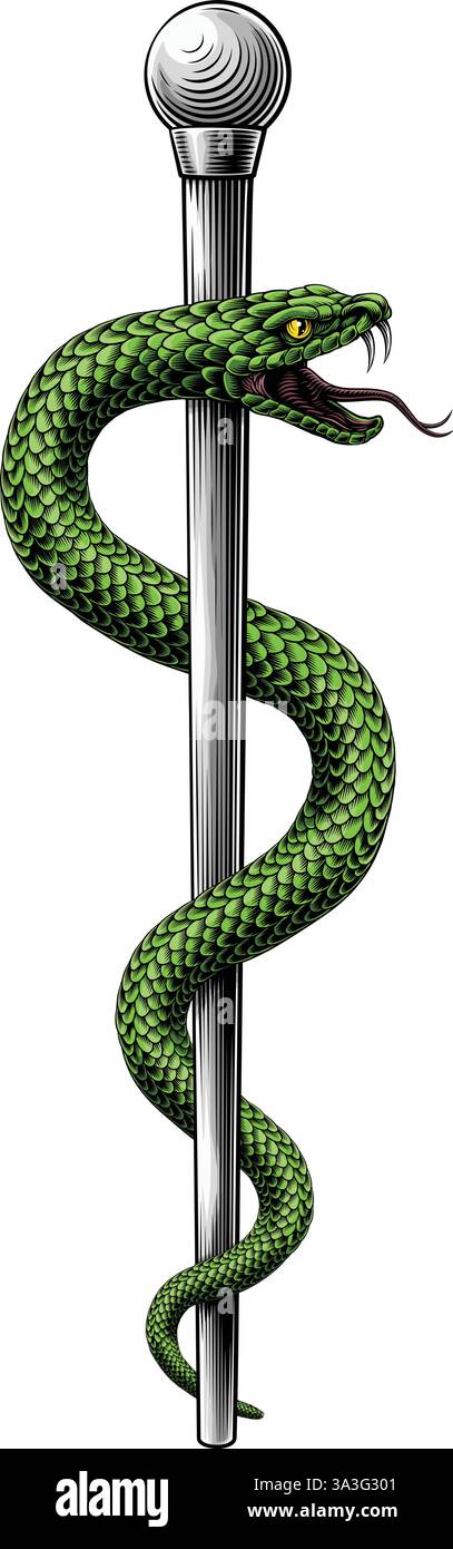 Rod of Asclepius Caduceus Medical Doctor Symbol Stock Vector Image ...