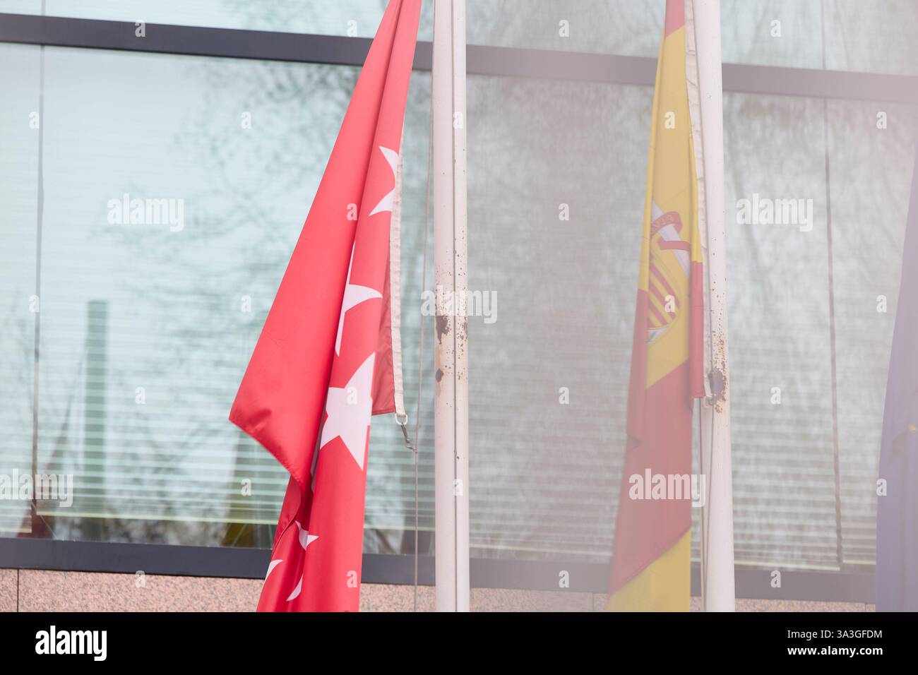 The flag of the Community of Madrid, at the Assembly of Madrid, on March 16, 2025, in Madrid