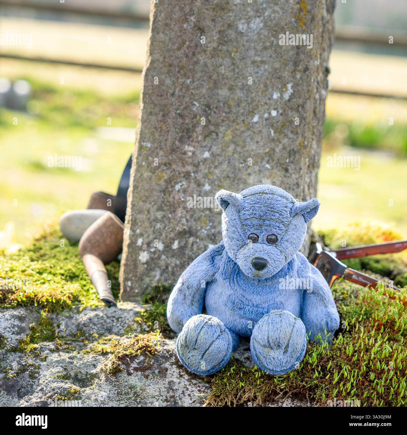 Cuddly bear hi-res stock photography and images - Alamy