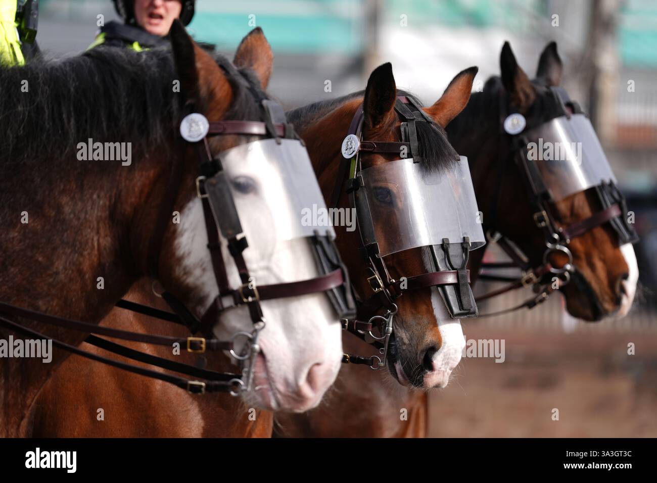 Police horses ahead of the William Hill Premiership match at Celtic ...