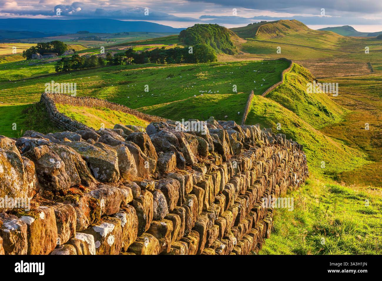 Picts wall hi-res stock photography and images - Alamy