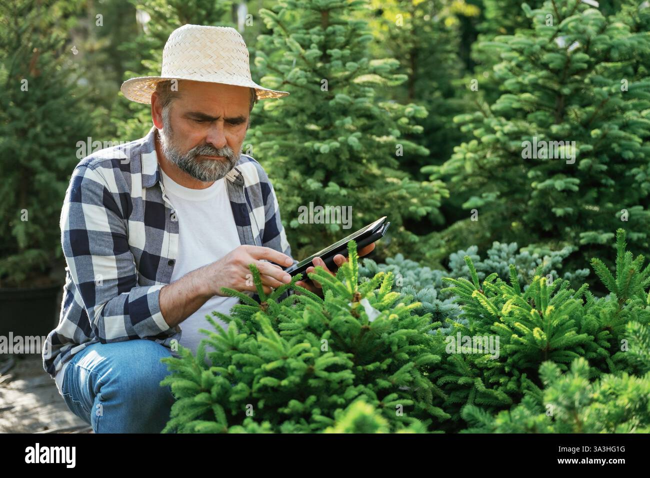 Using digital tablet, sitting. Senior gardener is at work at daytime. Stock Photo
