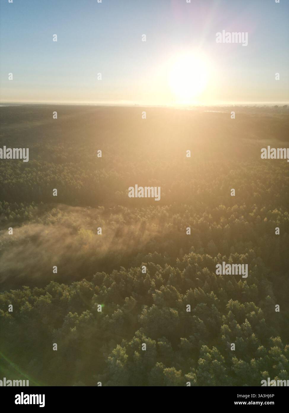 Aerial View of a Misty Forest at Sunrise Stock Photo - Alamy
