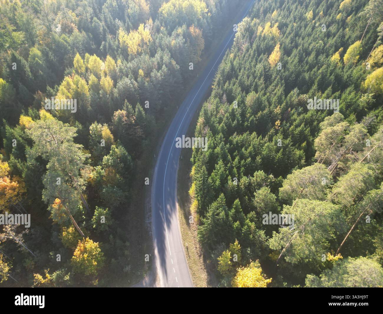 Aerial view of Road Through Lush Green Forest in early Autumn Stock ...