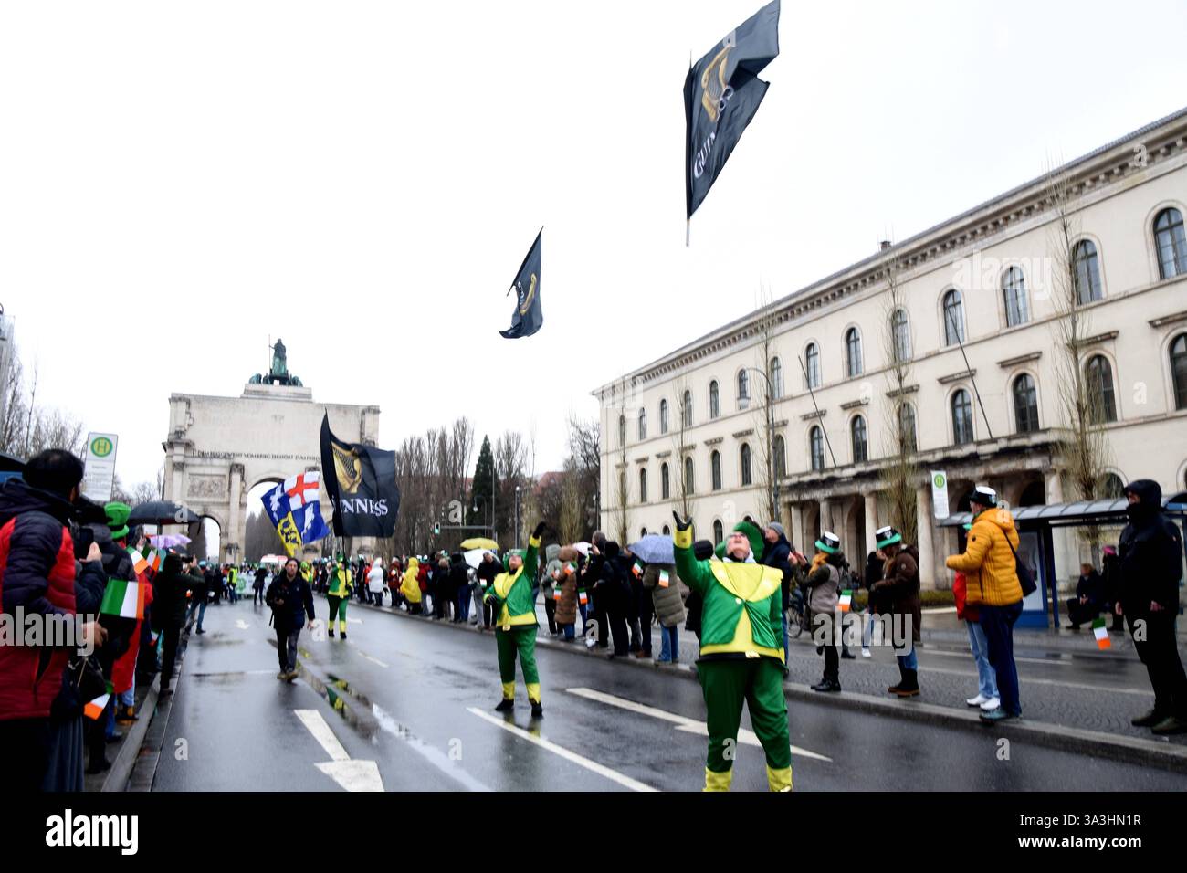 criticism of st patricks day