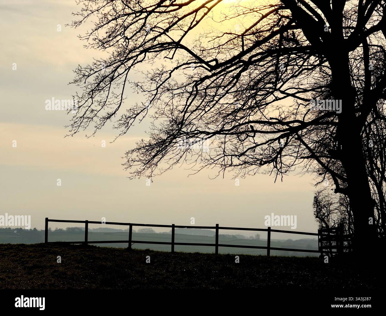Winter sun with tree and fence in silhouette at Adlington near Chorley in Lancashire - Smartphone Captured Stock Image