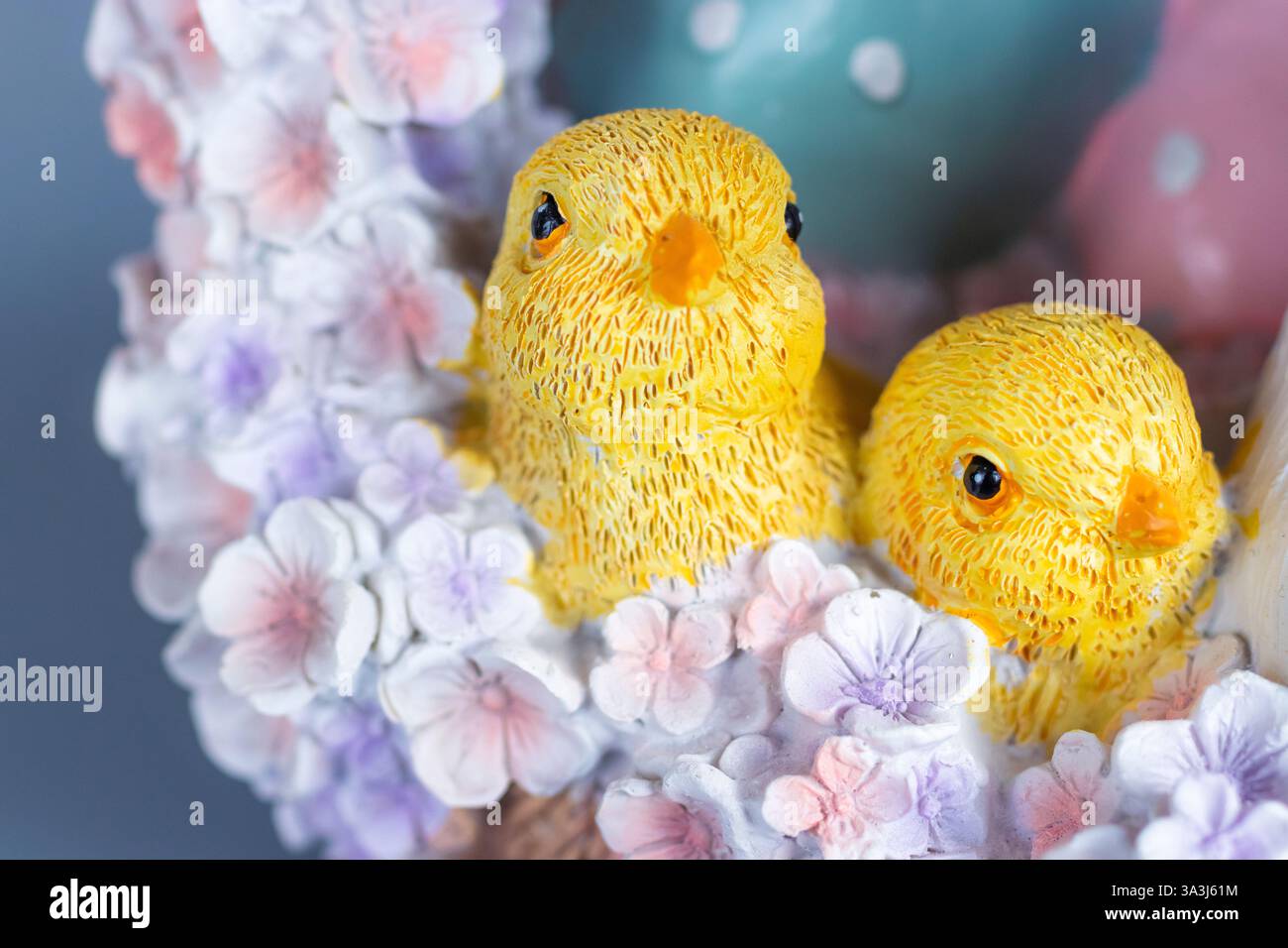 Easter chicks decoratione pastel colored flowers Stock Photo
