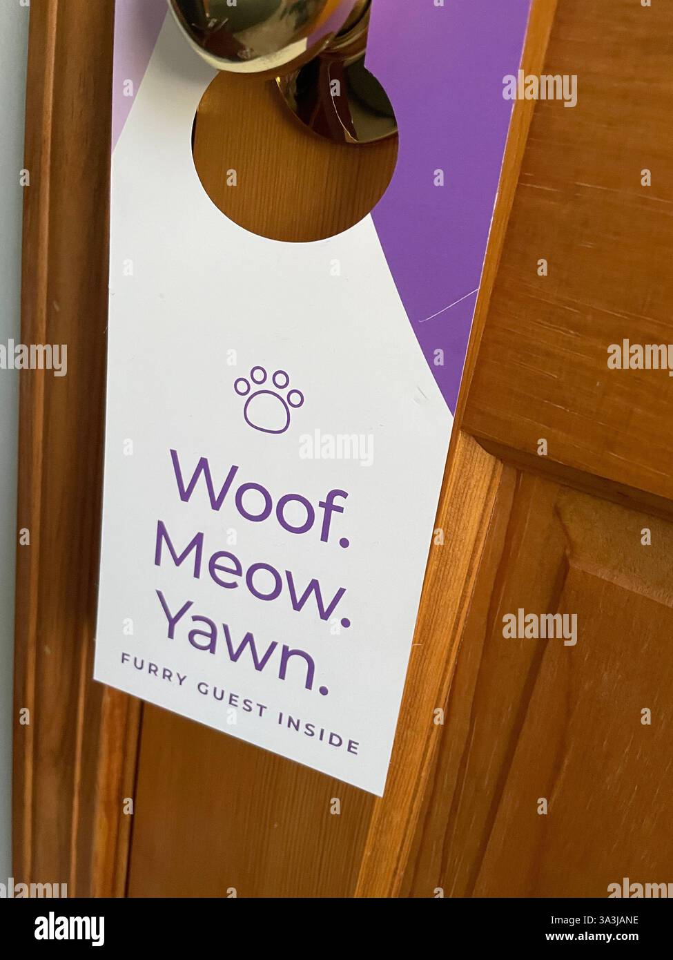 Humorous Do Not Disturb door hanging ion a Pet Friendly Lodging  room, 2024, USA - Smartphone Captured Stock Image