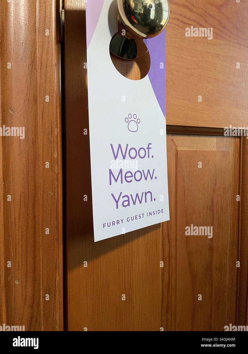 Humorous Do Not Disturb door hanging ion a Pet Friendly Lodging  room, 2024, USA - Smartphone Captured Stock Image