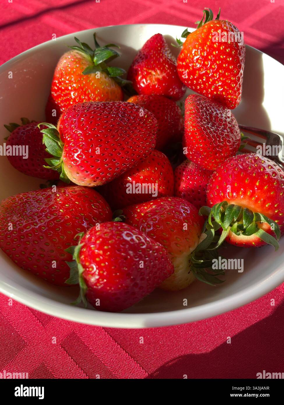 Still Life of Strawberries in a white bowl - Smartphone Captured Stock Image
