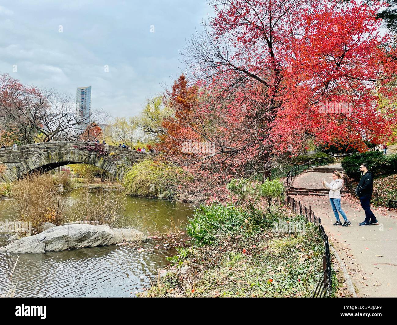 The pond in Central Park is beautiful with fall colors, New York City, USA  2024 - Smartphone Captured Stock Image