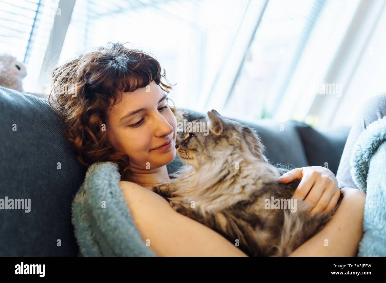 young woman hugging a gray fluffy cat Stock Photo - Alamy