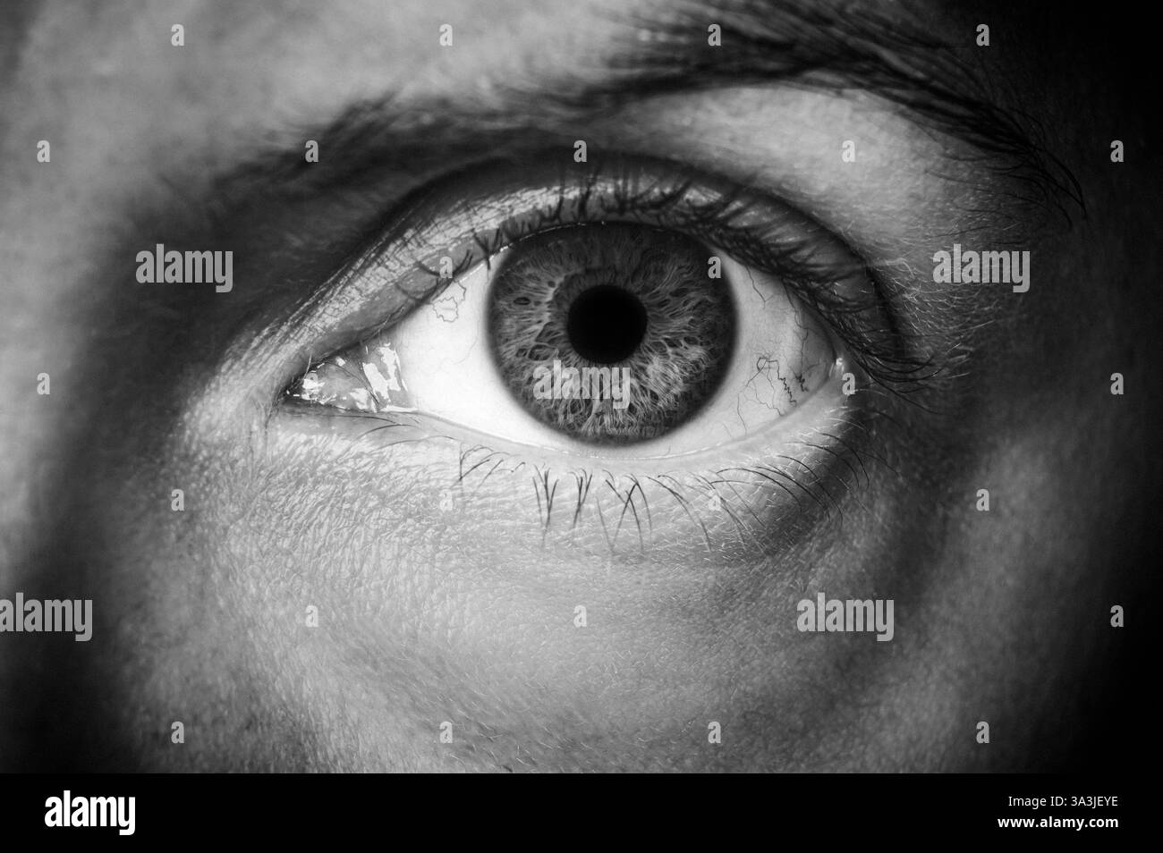 Pupil eye detail human Black and White Stock Photos & Images - Alamy