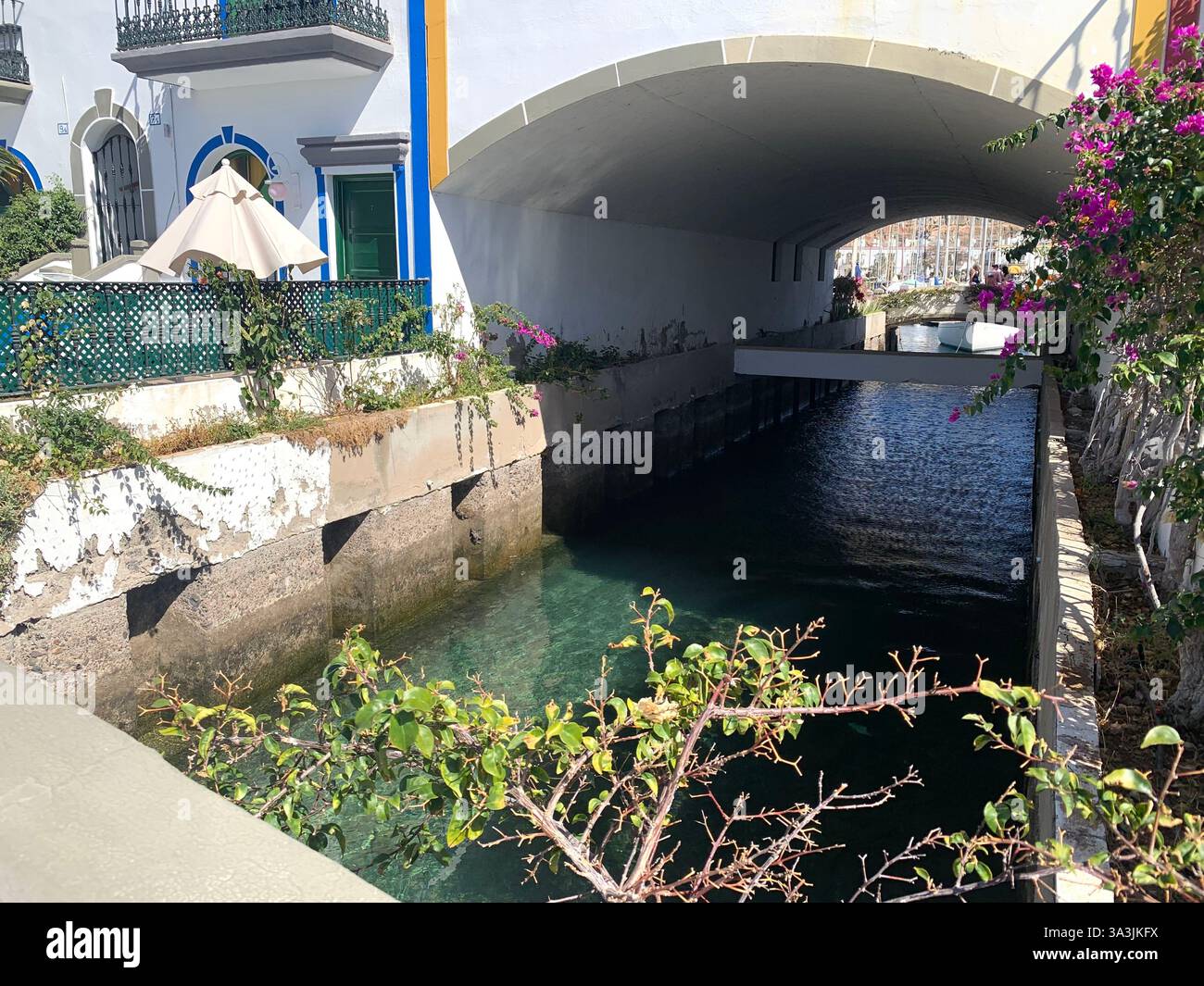 Tenerife Carnival Canary Islands Spain weather hot sunny people happy friendly drink drinking style type tourism tourists restaurant food eating out - Smartphone Captured Stock Image