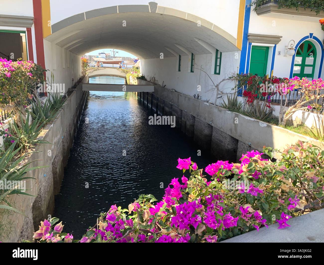 Tenerife Carnival Canary Islands Spain weather hot sunny people happy friendly drink drinking style type tourism tourists restaurant food eating out - Smartphone Captured Stock Image
