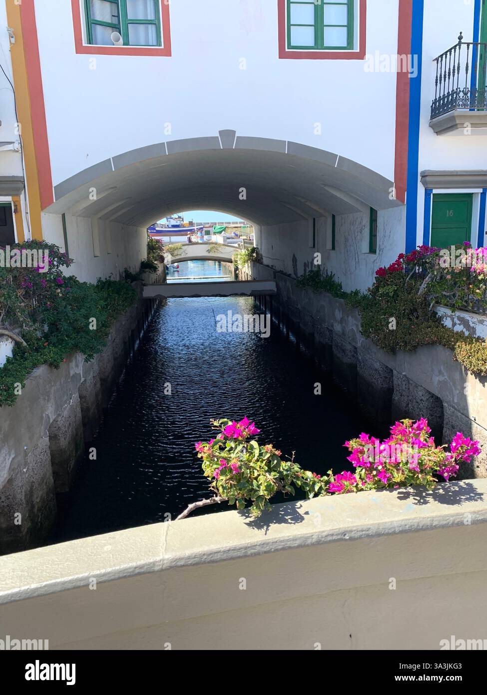 Tenerife Carnival Canary Islands Spain weather hot sunny people happy friendly drink drinking style type tourism tourists restaurant food eating out - Smartphone Captured Stock Image