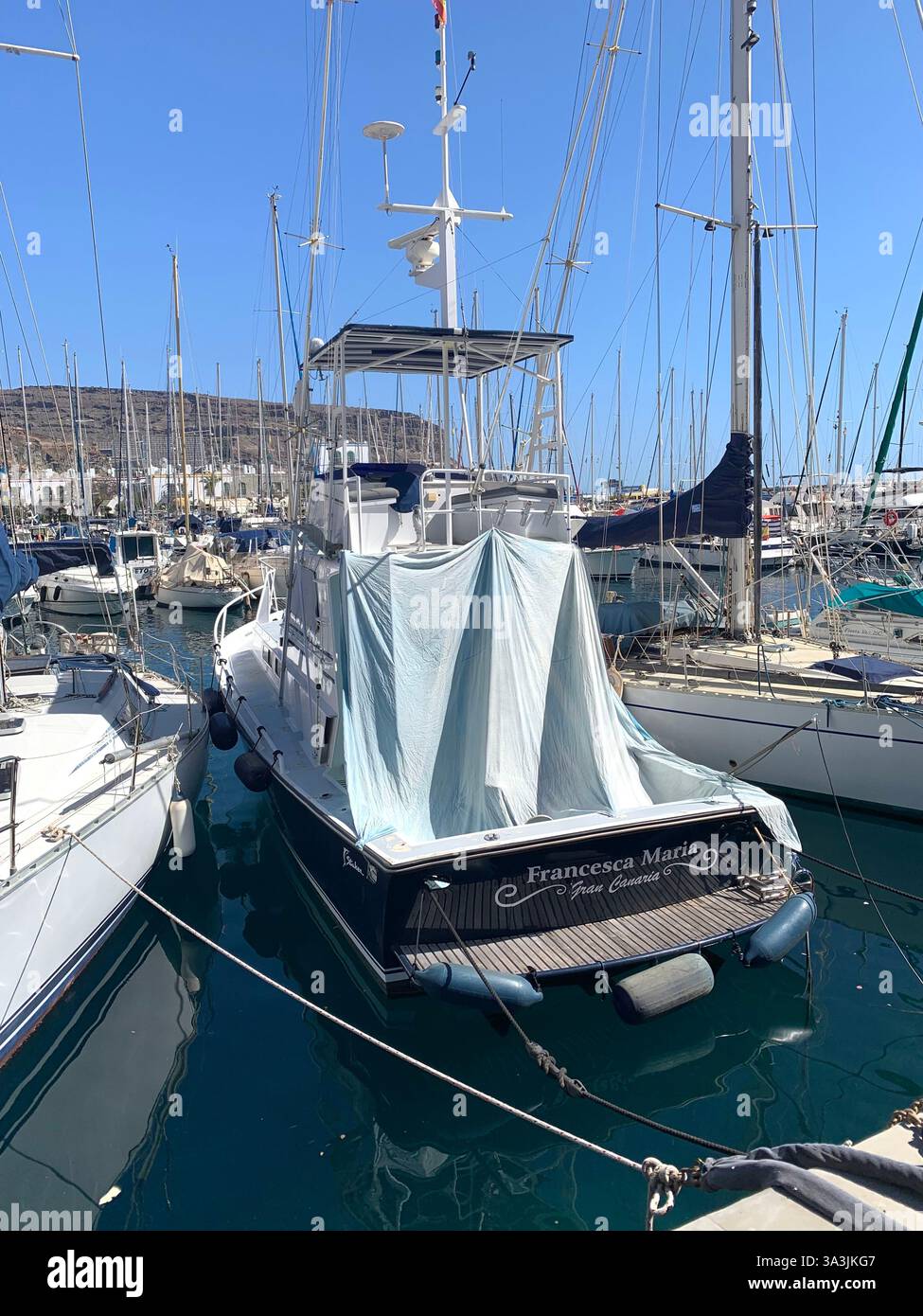 Tenerife Carnival Canary Islands Spain weather hot sunny people happy friendly drink drinking style type tourism tourists restaurant food eating out - Smartphone Captured Stock Image