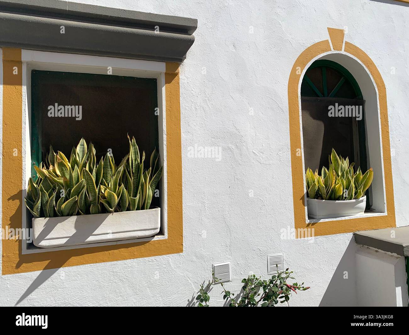 Tenerife Carnival Canary Islands Spain weather hot sunny people happy friendly drink drinking style type tourism tourists restaurant food eating out - Smartphone Captured Stock Image