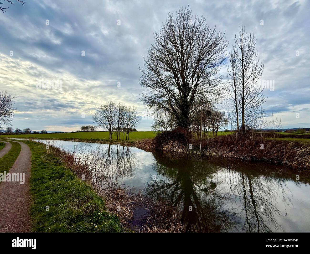 Trees at Dusk and a Dramatic Sky - The Taunton and Bridgewater Canal, Somerset - Smartphone Captured Stock Image