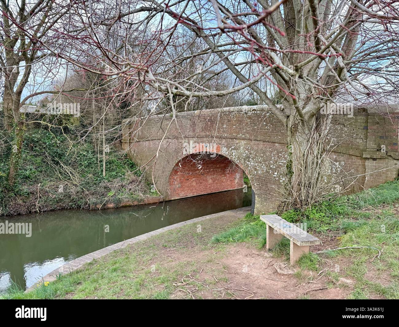 Bench by a Bridge on the Taunton and Somerset Canal, Somerset - Smartphone Captured Stock Image