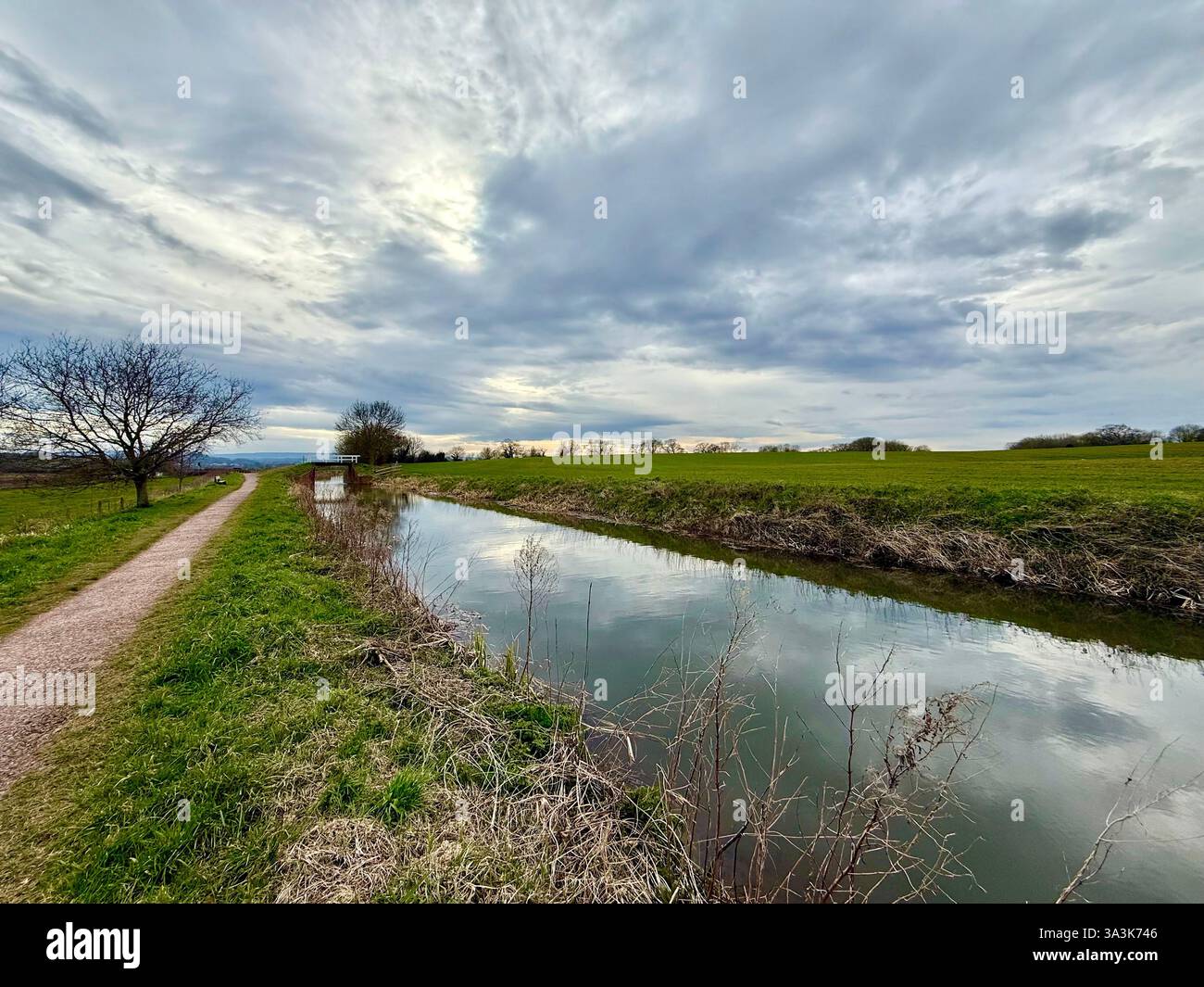 Towpath by the Canal, the Bridgewater and Taunton Canal, Somerset - Smartphone Captured Stock Image
