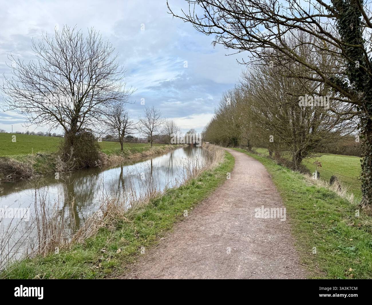 Towpath by the Canal - The Bridgeater and Taunton Canal, Somerset - Smartphone Captured Stock Image