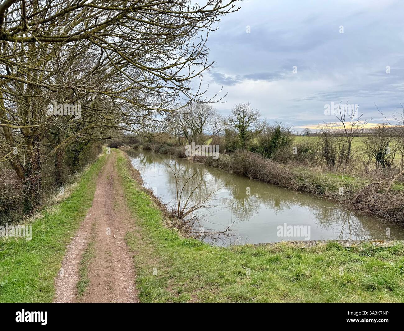 Muddy Towpath by a Canal, the Bridgewater and Taunton Canal, Somerset - Smartphone Captured Stock Image