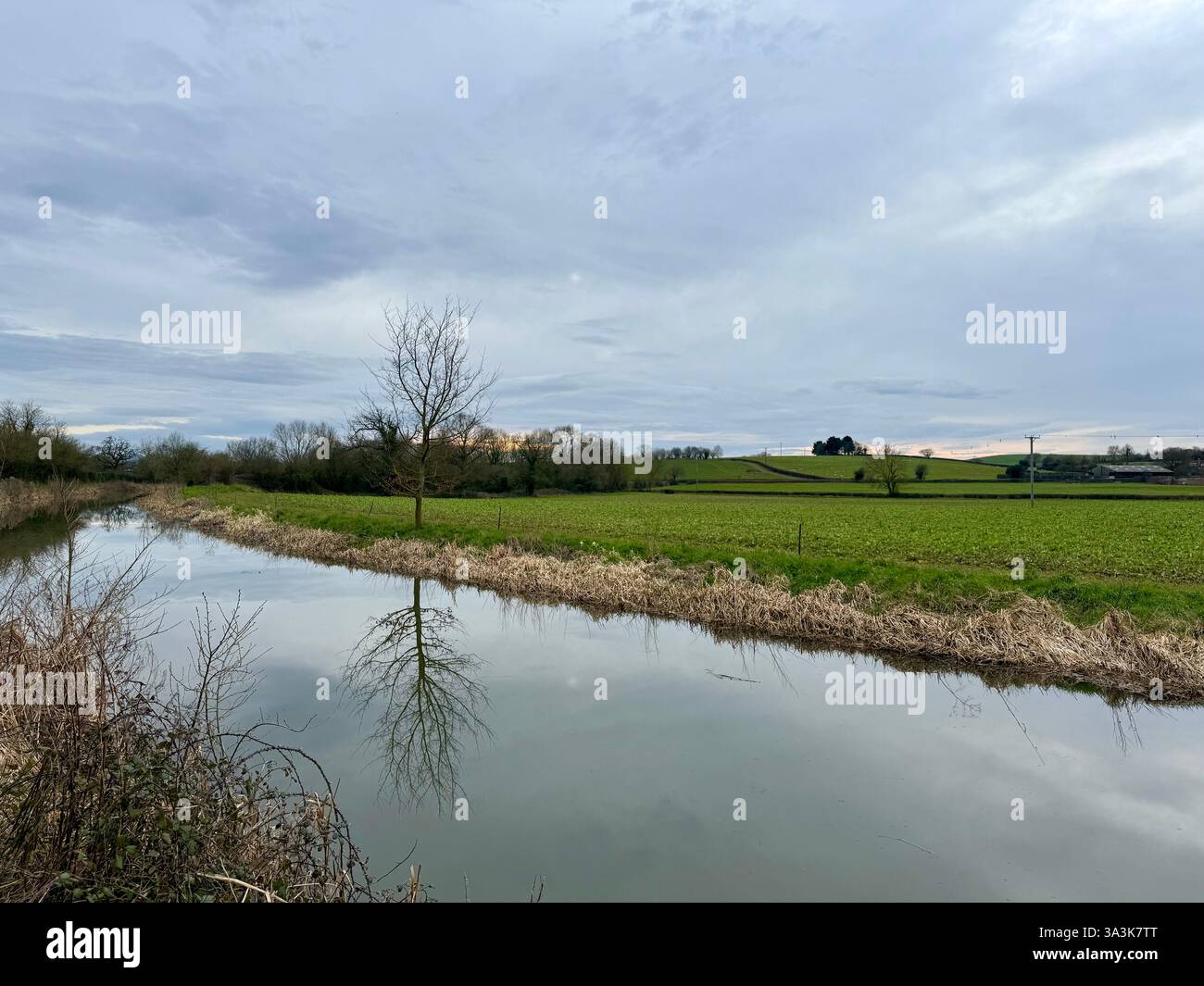 Canal Side Reflections - The Bridgewater and Taunton Canal, Somerset - Smartphone Captured Stock Image