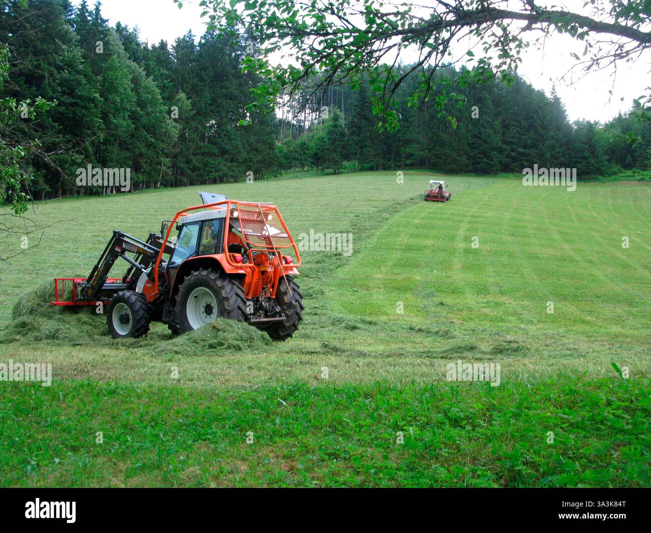 hay tedder machine in agriculture, farmland cultivation and hay making ...