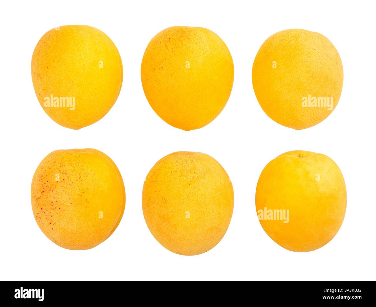 apricots path isolated on white Stock Photo