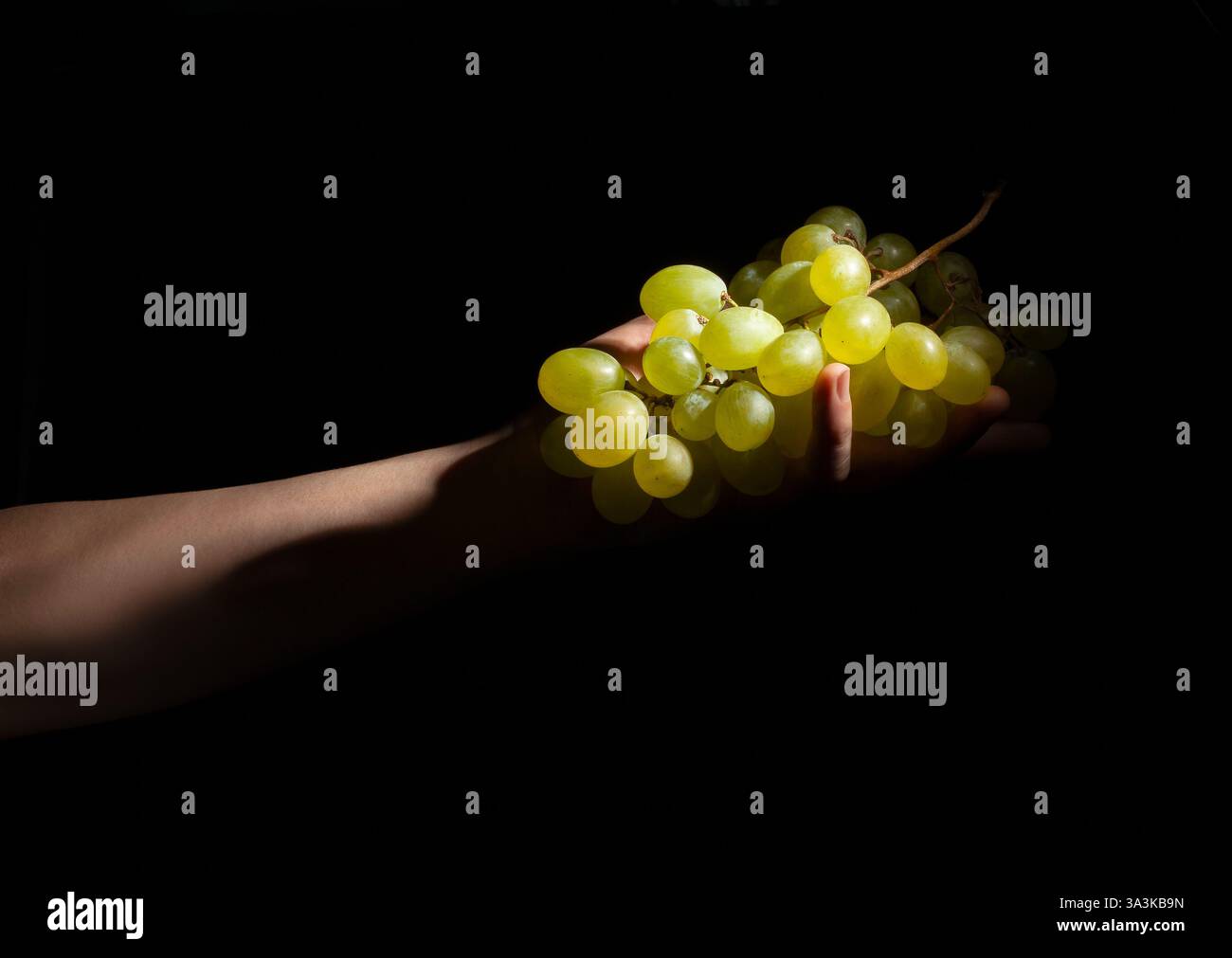 white grape in hand on black background Stock Photo
