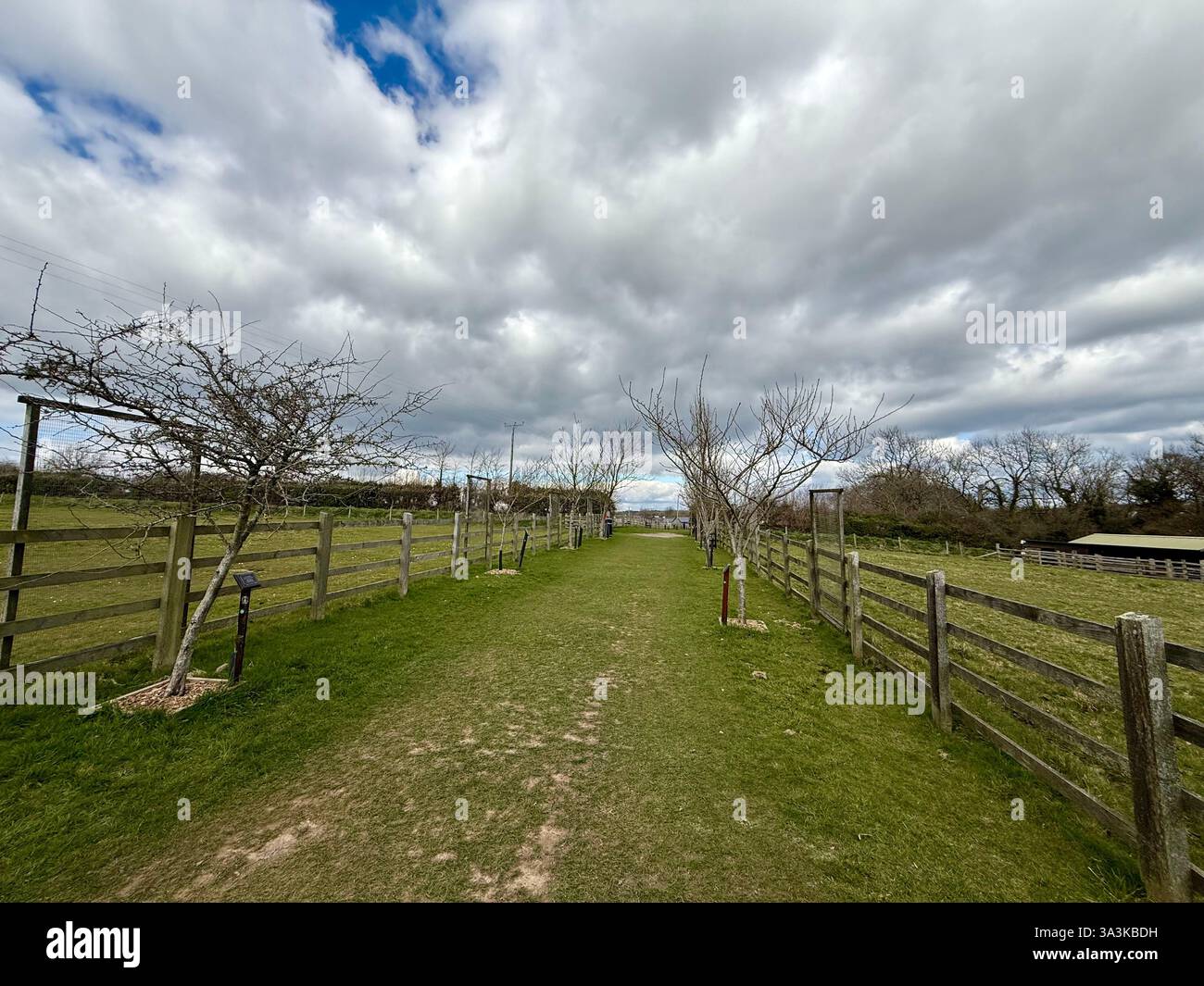 A Lane through Green Fields under a Blue but Cloudy Sky - Smartphone Captured Stock Image