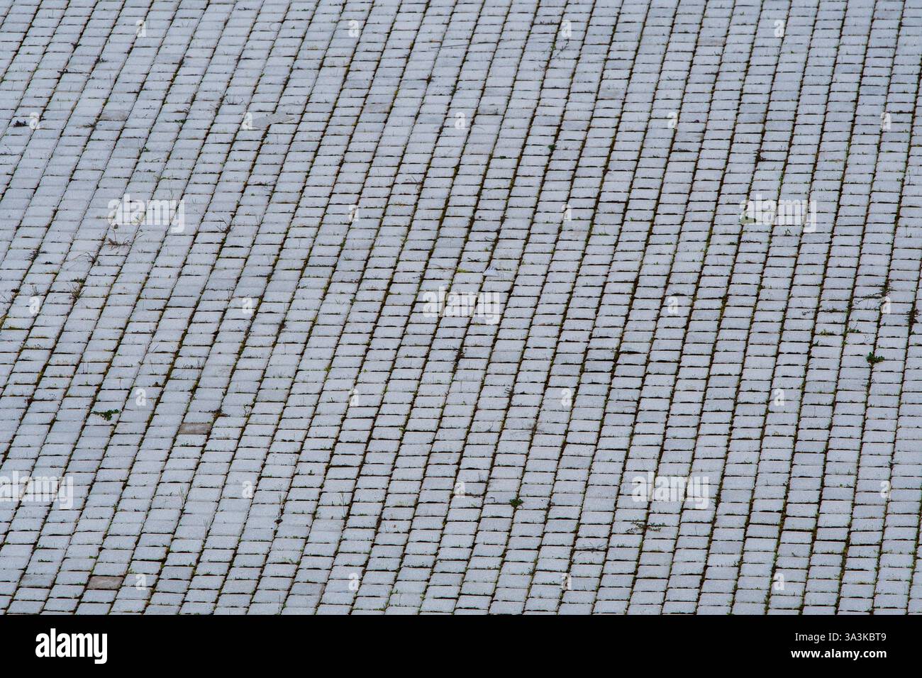 Dirty white tiny squares, pattern and texture. Stock Photo