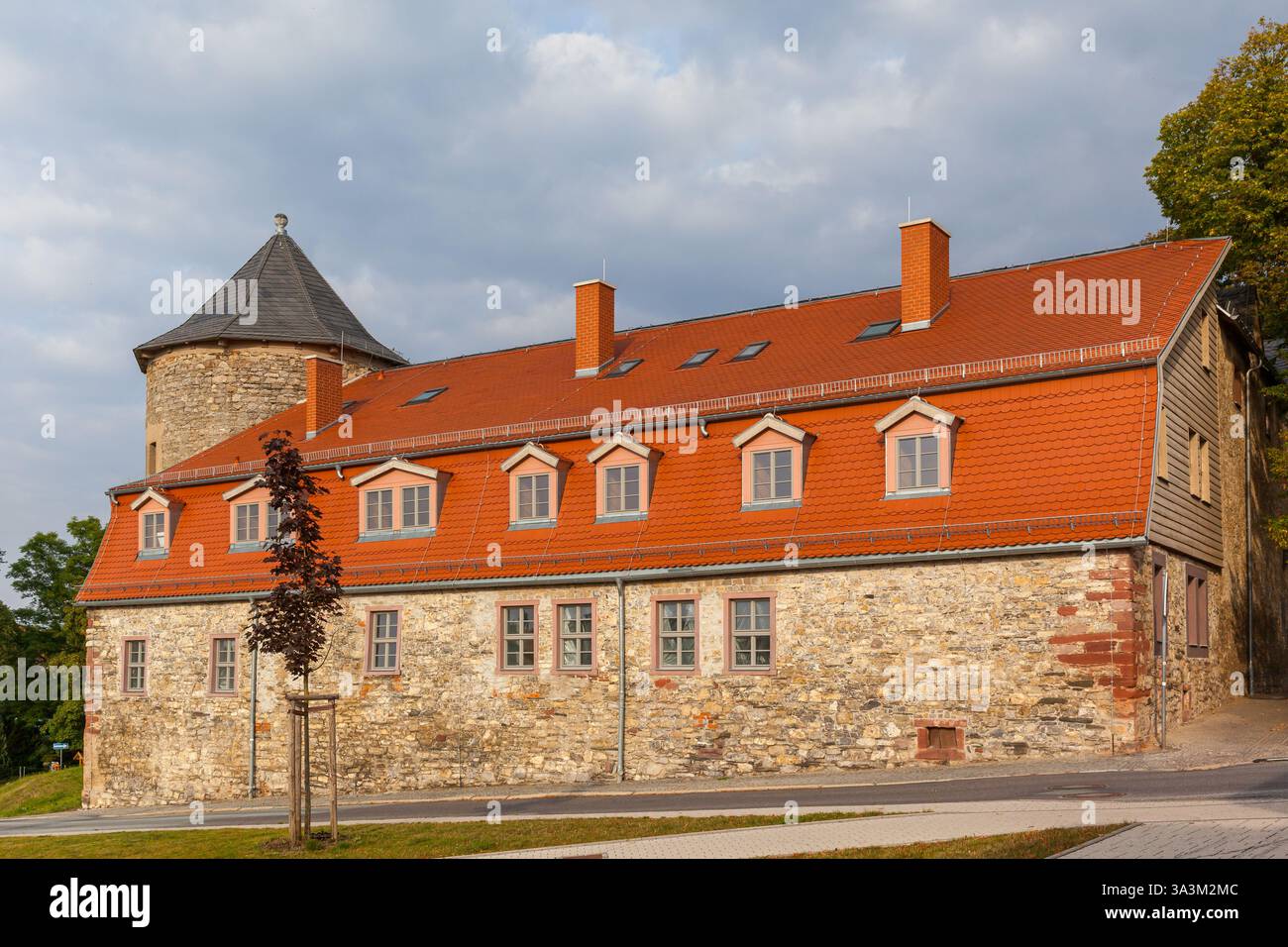 Harzgerode Schloss Harzgerode im Selketal Stock Photo - Alamy
