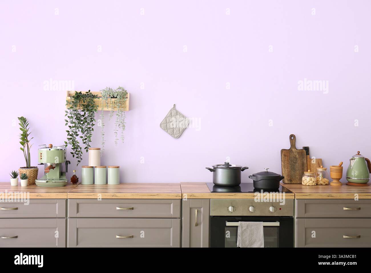 Interior of modern kitchen with grey counters, utensils and plants ...