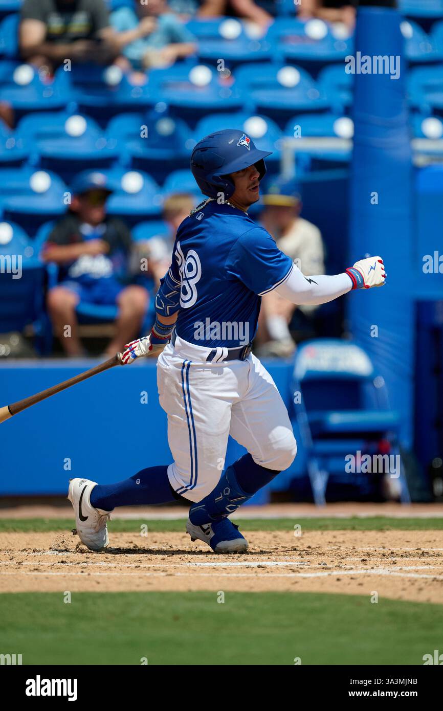 Jacob Sharp Toronto Blue Jays Jacob Sharp (38) at bat during an MLB Spring Breakout ...