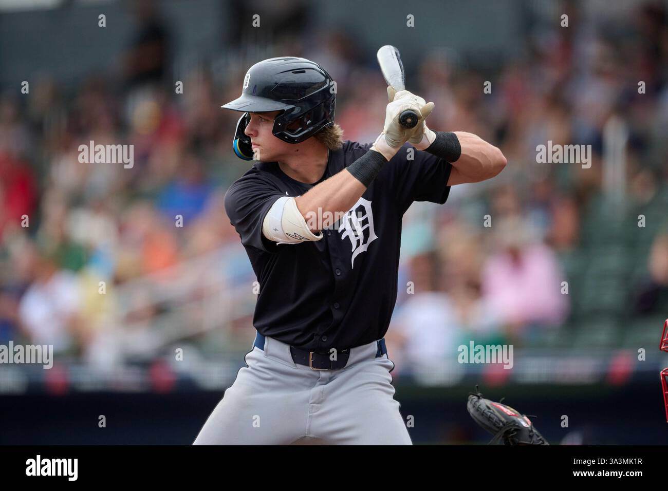 Detroit Tigers Bryce Rainer (28) at bat during an MLB Spring Breakout ...