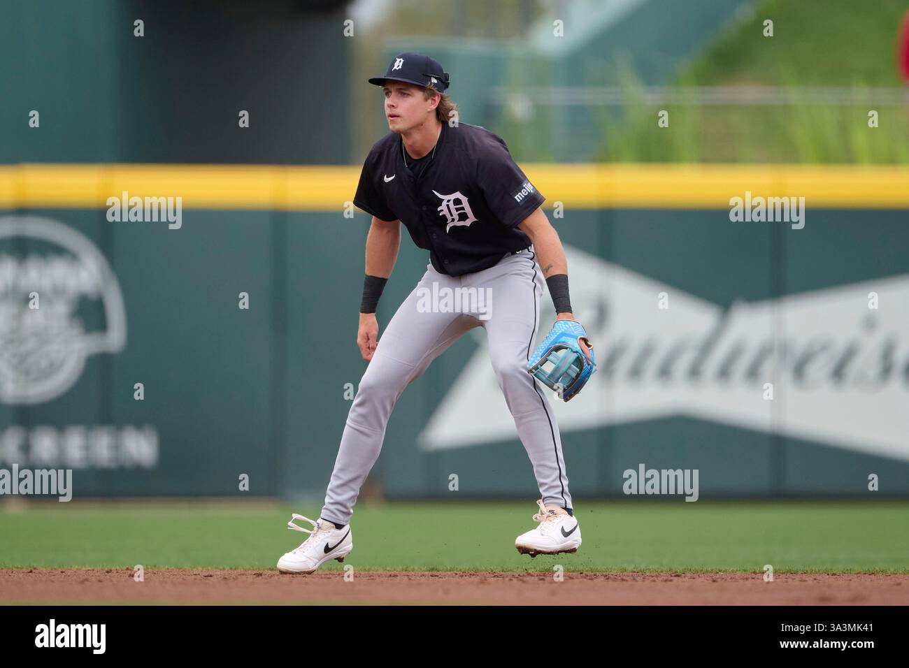 Detroit Tigers shortstop Bryce Rainer (28) during an MLB Spring ...