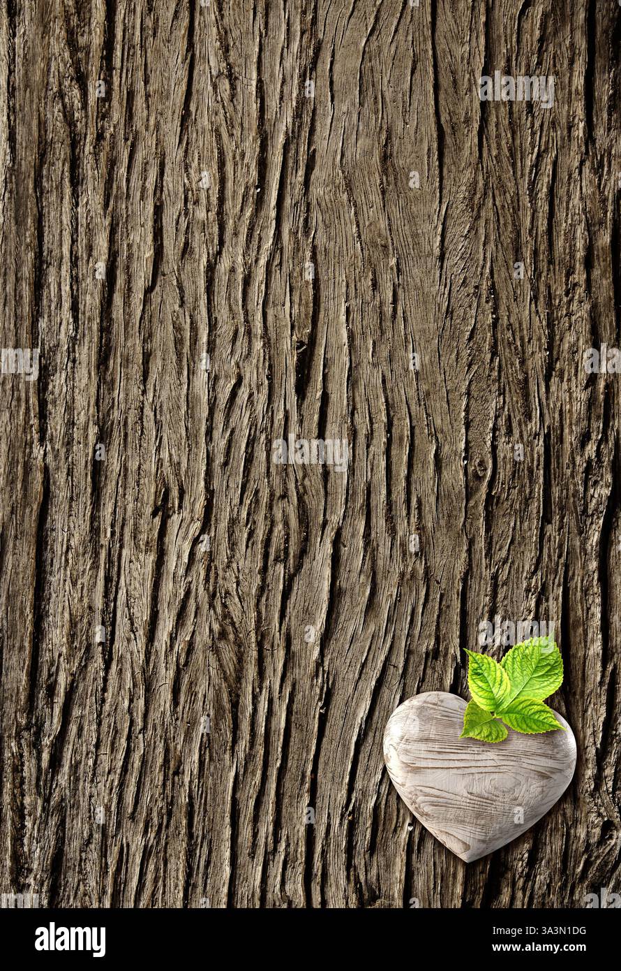 Vertical banner with wooden heart on tree bark. Ecology, global wildlife resource, eco, go green, forest protect concept. Environmental and conservati Stock Photo