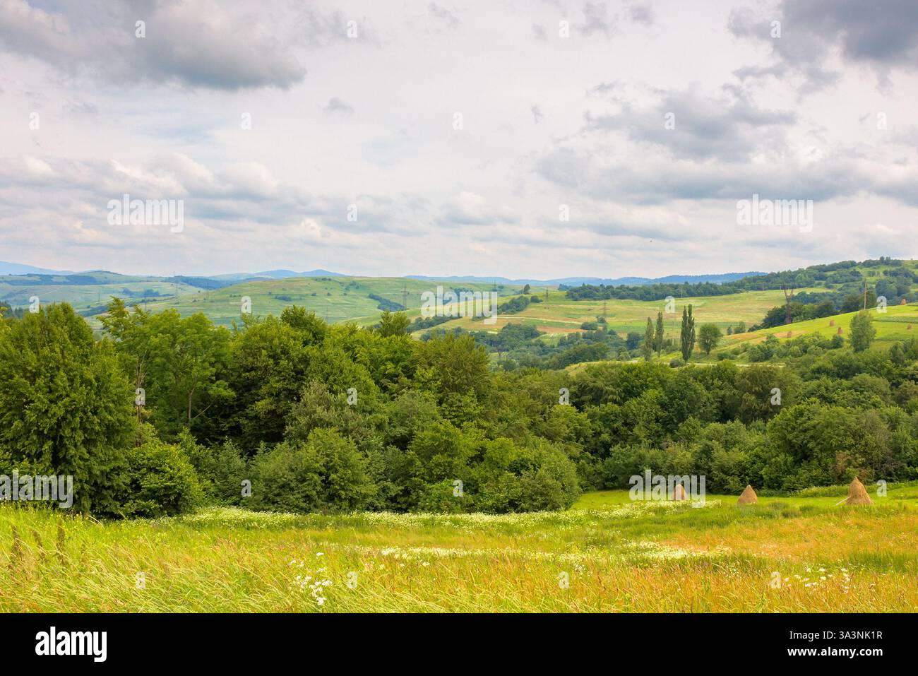 rural landscape with field and mountain in summer. provincial farmland. green nature outdoor with grass and hill. countryside scenery for travel with Stock Photo