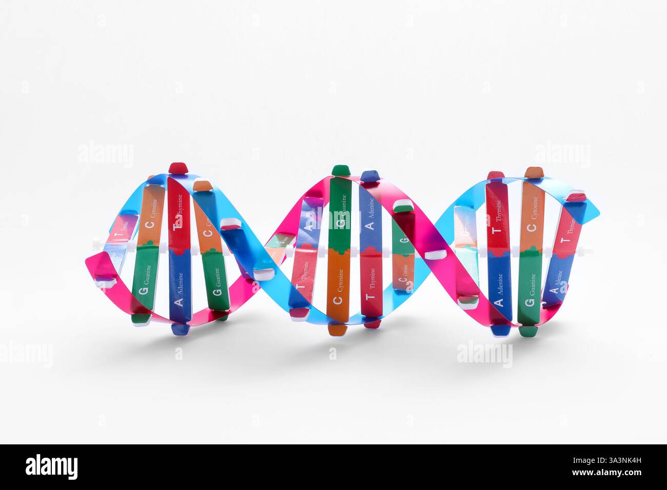 Colorful DNA structure model on white background Stock Photo - Alamy