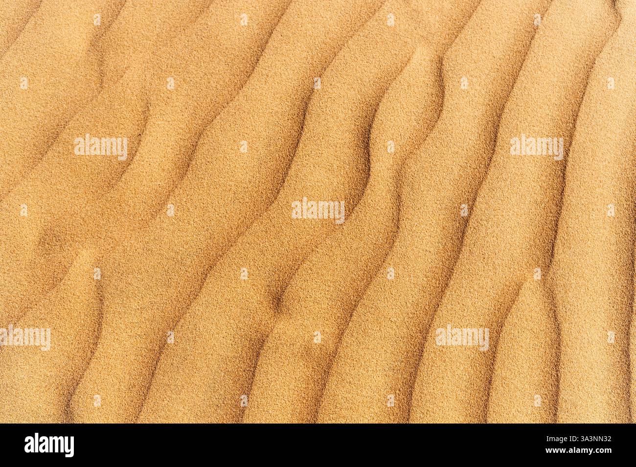 Close up view capturing wind shaping intricate patterns on sand dunes, revealing stunning natural textures under golden sunlight Stock Photo
